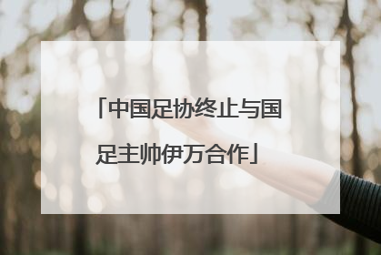中国足协终止与国足主帅伊万合作